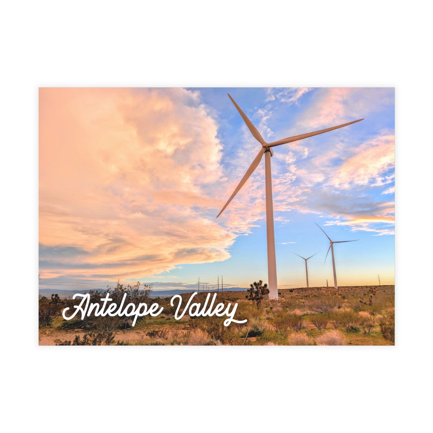 Wind Weaver Postcard Pack