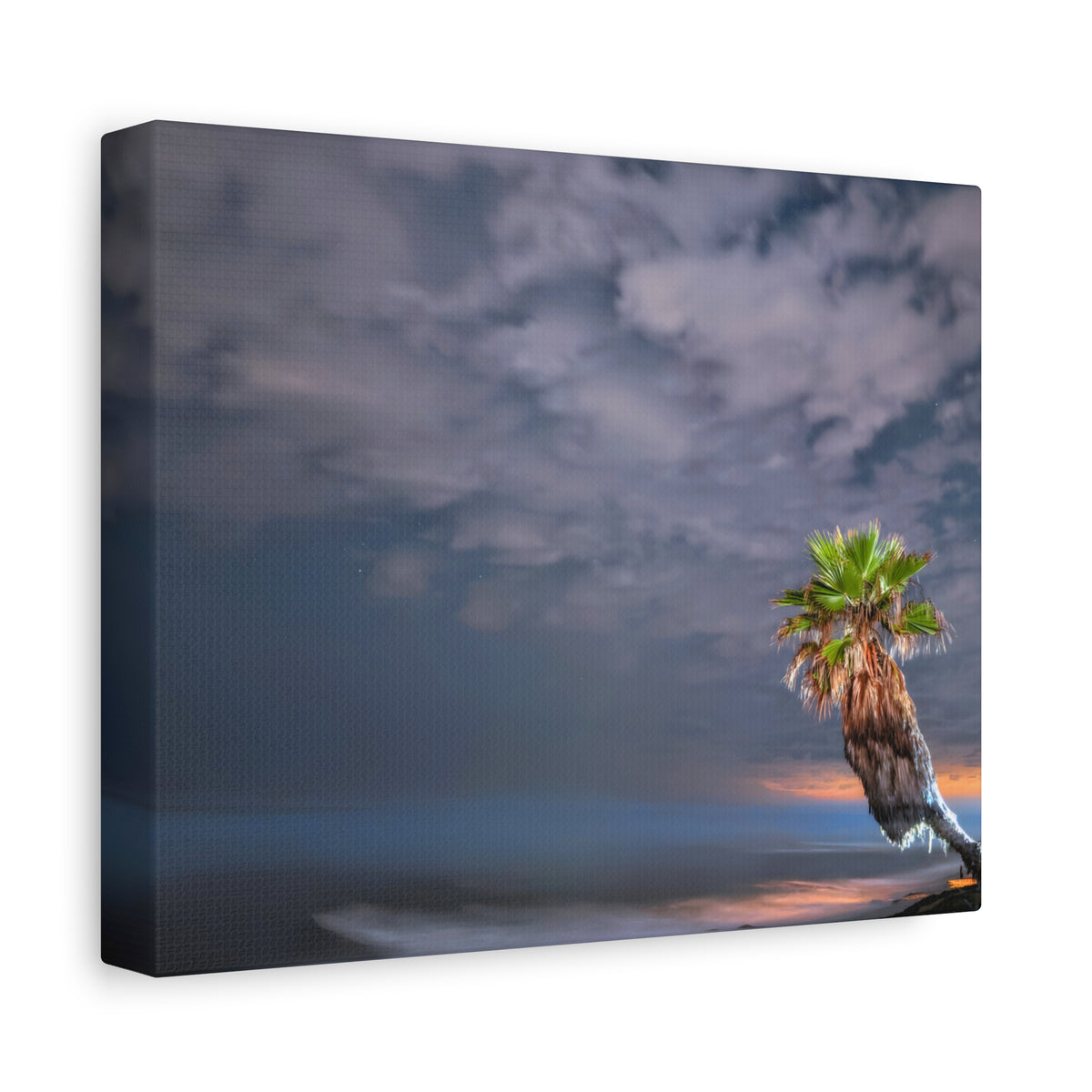 Midnight Palm Canvas Wall Art Print