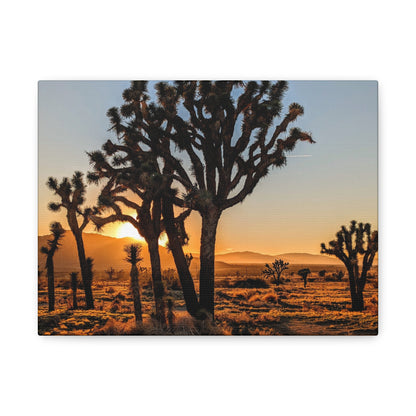 Joshua Glow Canvas Wall Art Print