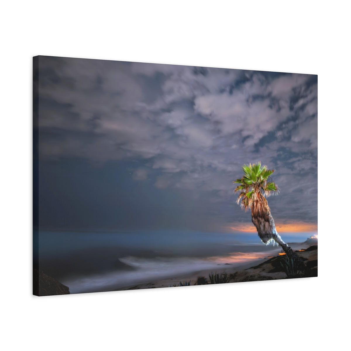 Midnight Palm Canvas Wall Art Print