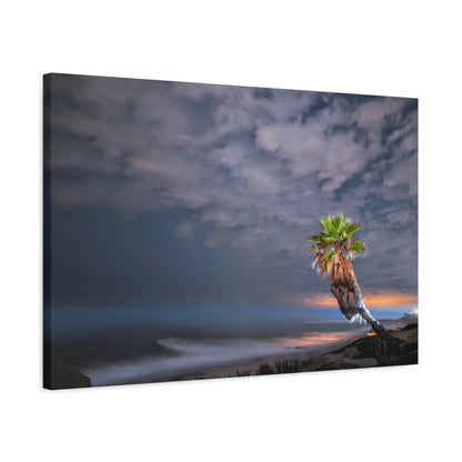 Midnight Palm Canvas Wall Art Print