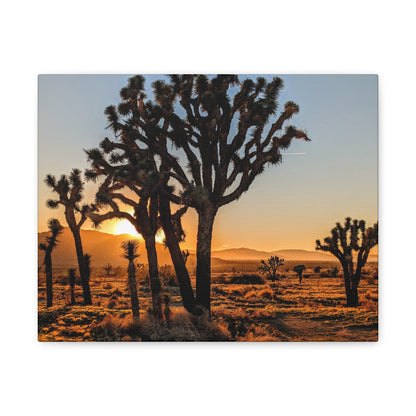 Joshua Glow Canvas Wall Art Print