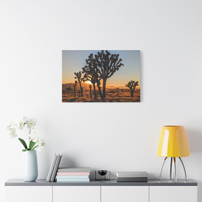 Joshua Glow Canvas Wall Art Print