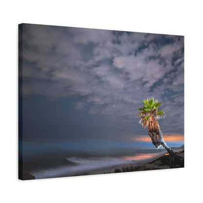Midnight Palm Canvas Wall Art Print