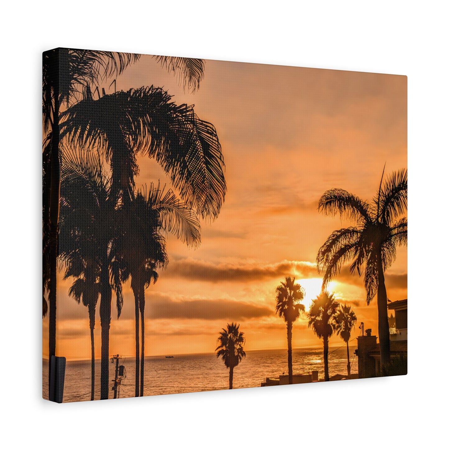 Between the Palms Canvas Wall Art Print