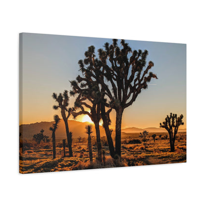 Joshua Glow Canvas Wall Art Print