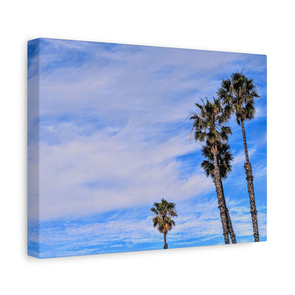 Palm Family Canvas Wall Art Print