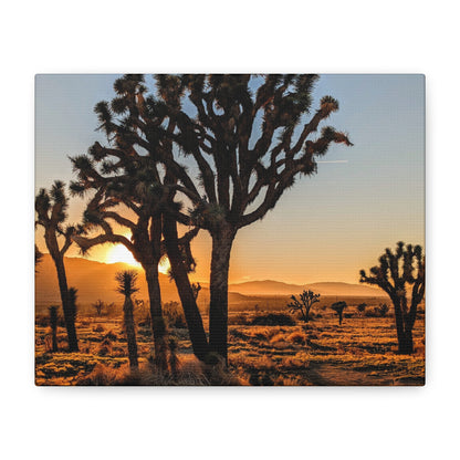 Joshua Glow Canvas Wall Art Print
