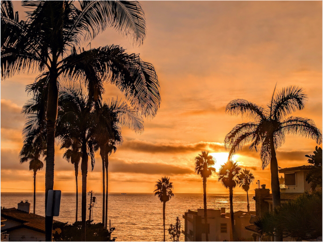 Main image Between the Palms Premium Acrylic Print