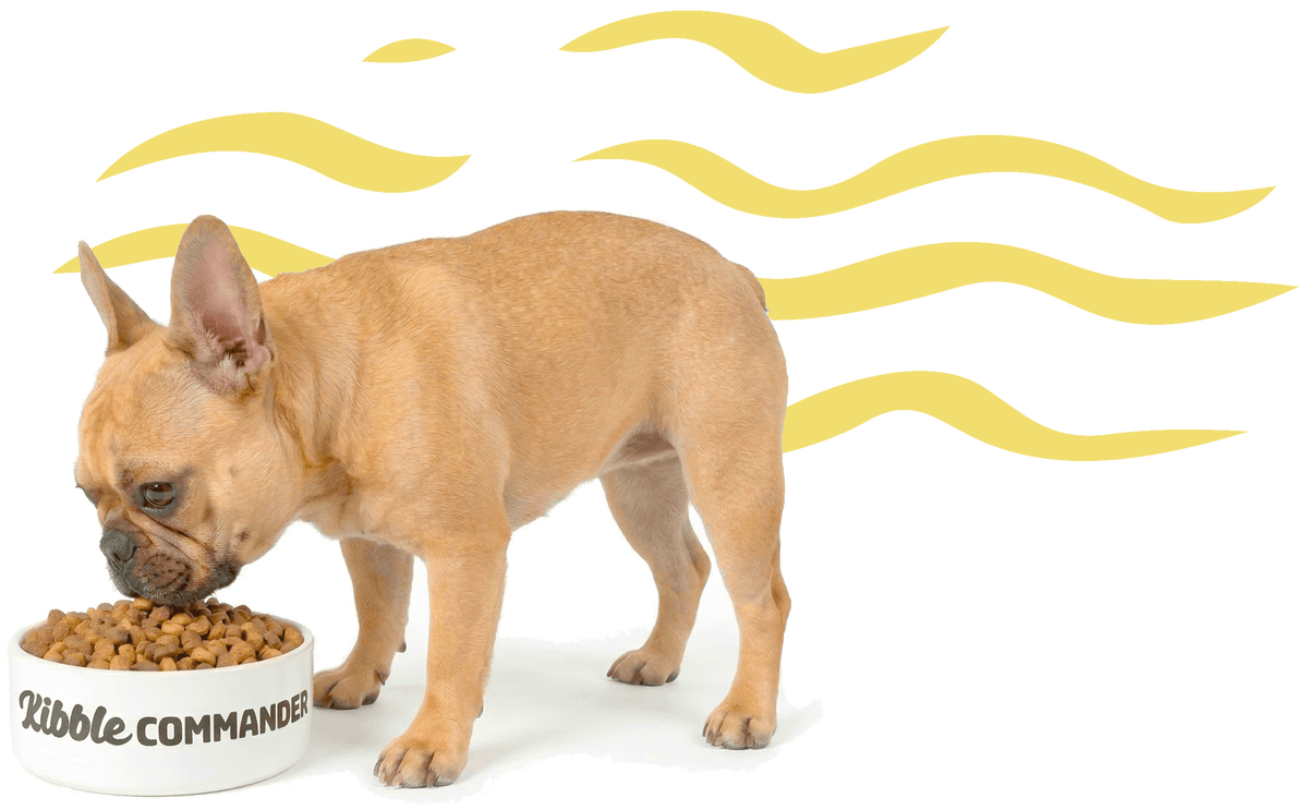 Kibble Commander dog and cat pet food bowl