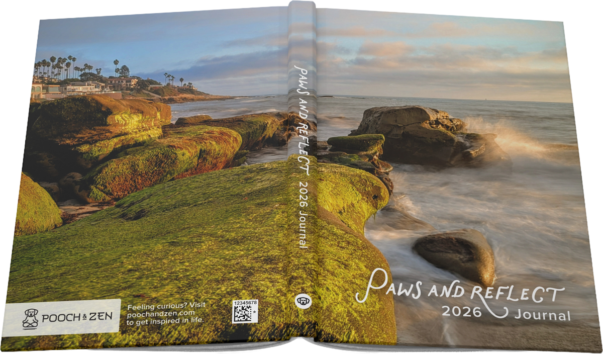 California art journal with a view of the La Jolla coast for creativity